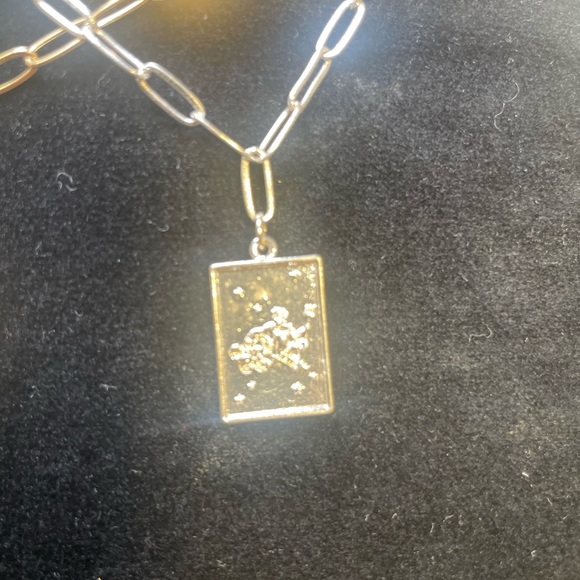 Two Gold and Silver Tone Capricorn Pendant Necklaces - Picture 3 of 5